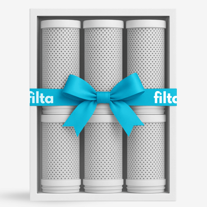 6x FiltaPure™ - Filtr do Filta ™  (Zestaw na 12 miesięcy)