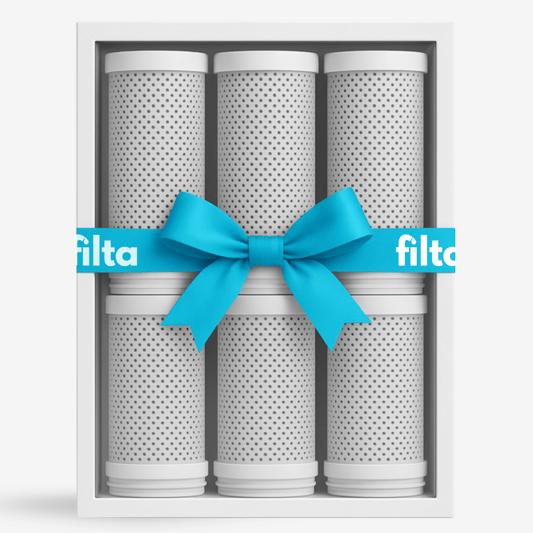 6x Filtr do Filta ™  (Zestaw na 12 miesięcy)