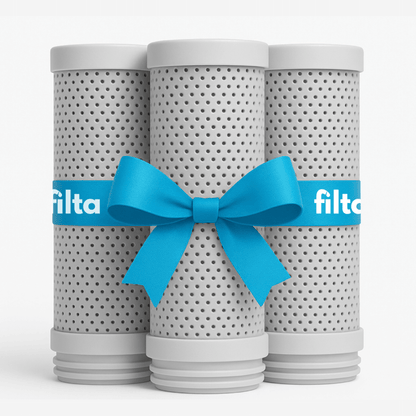 3x FiltaPure™ - Filtr do Filta ™  (Zestaw na 6 miesięcy)