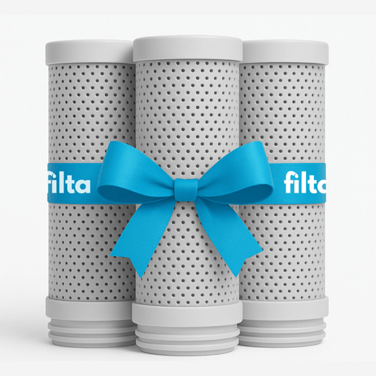 3x Filtr do Filta ™  (Zestaw na 6 miesięcy)